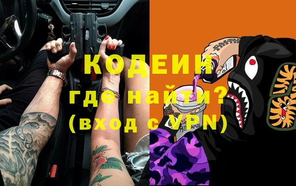 apvp Бородино