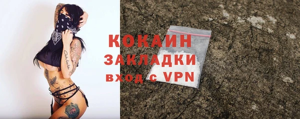 apvp Бородино