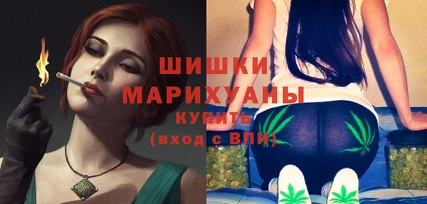apvp Бородино