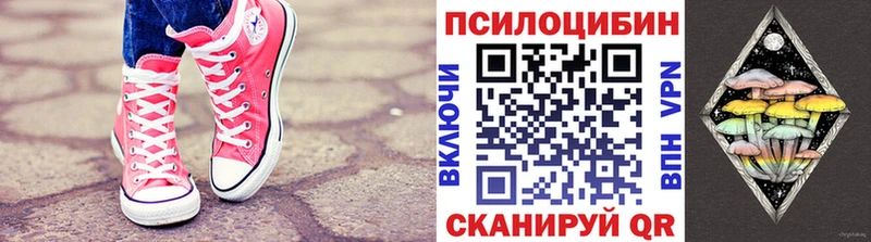 Купить закладки  Нижняя Тура  Псилоцибиновые грибы прущие грибы 